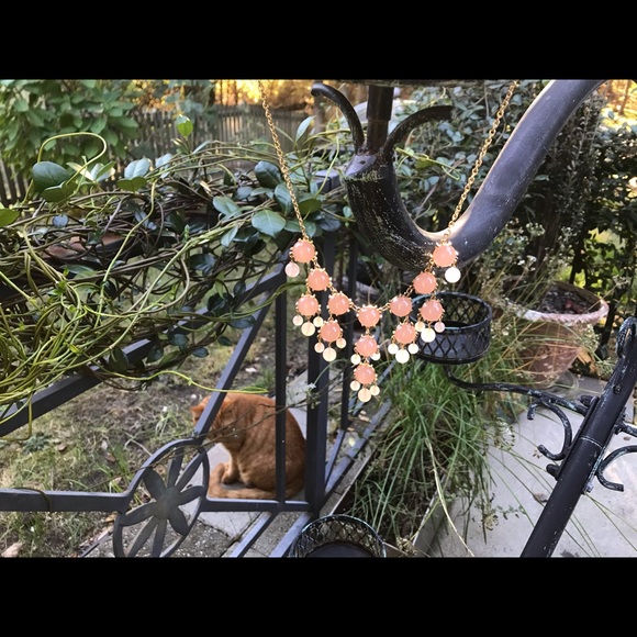 Beautiful Peach & Gold Necklace - Picture 8 of 8